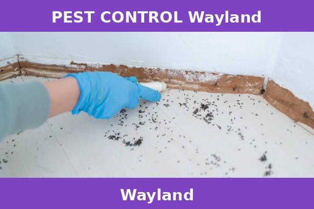 PEST CONTROL Wayland